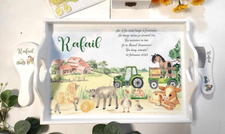 Tăvițe pentru băieți - Set tavita mot băieți ”Animale la fermă” 6 accesorii