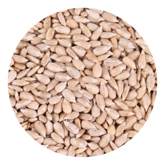 Confectionery Premium [1]