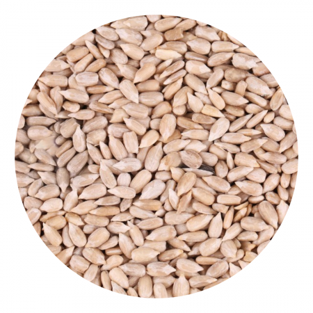 Sunflower kernels - Bakery