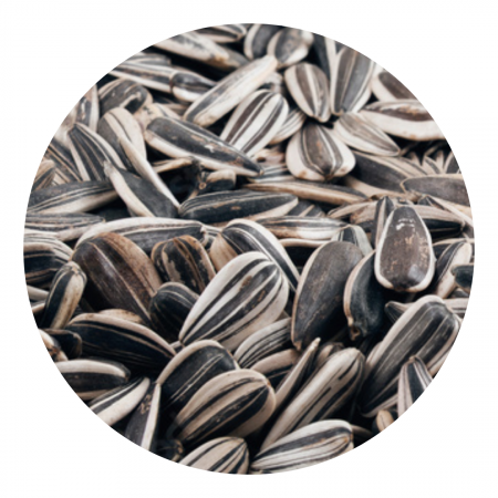 Black striped sunflower seeds - Badger [1]