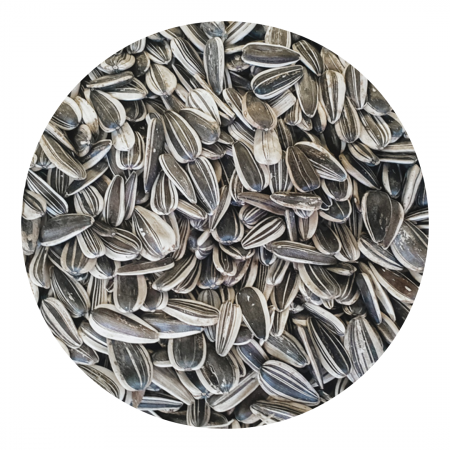 Seeds - Black striped sunflower seeds - Jumbo