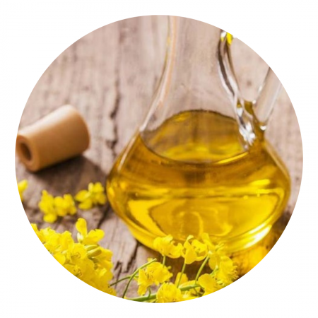 Rapeseed oil - Rapeseed oil