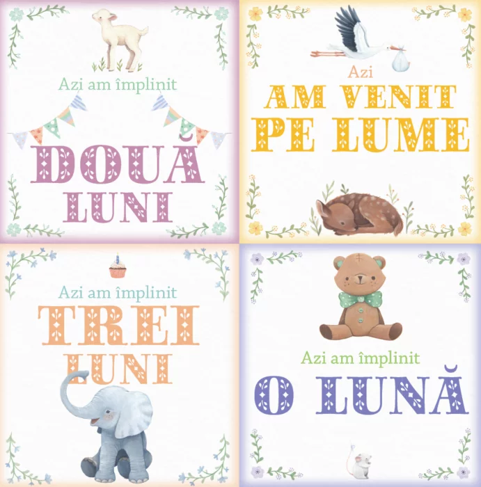 Albumul bebelusului [1]