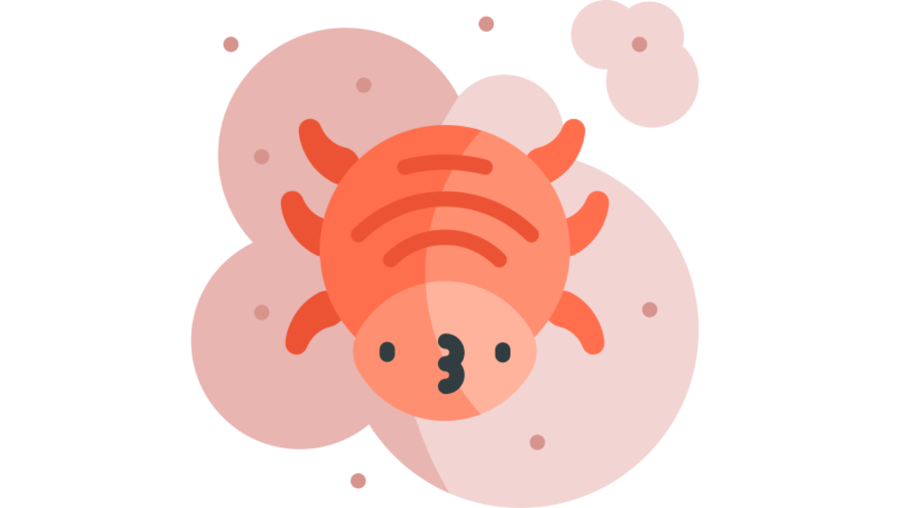 Acarienii și viața lor secretă