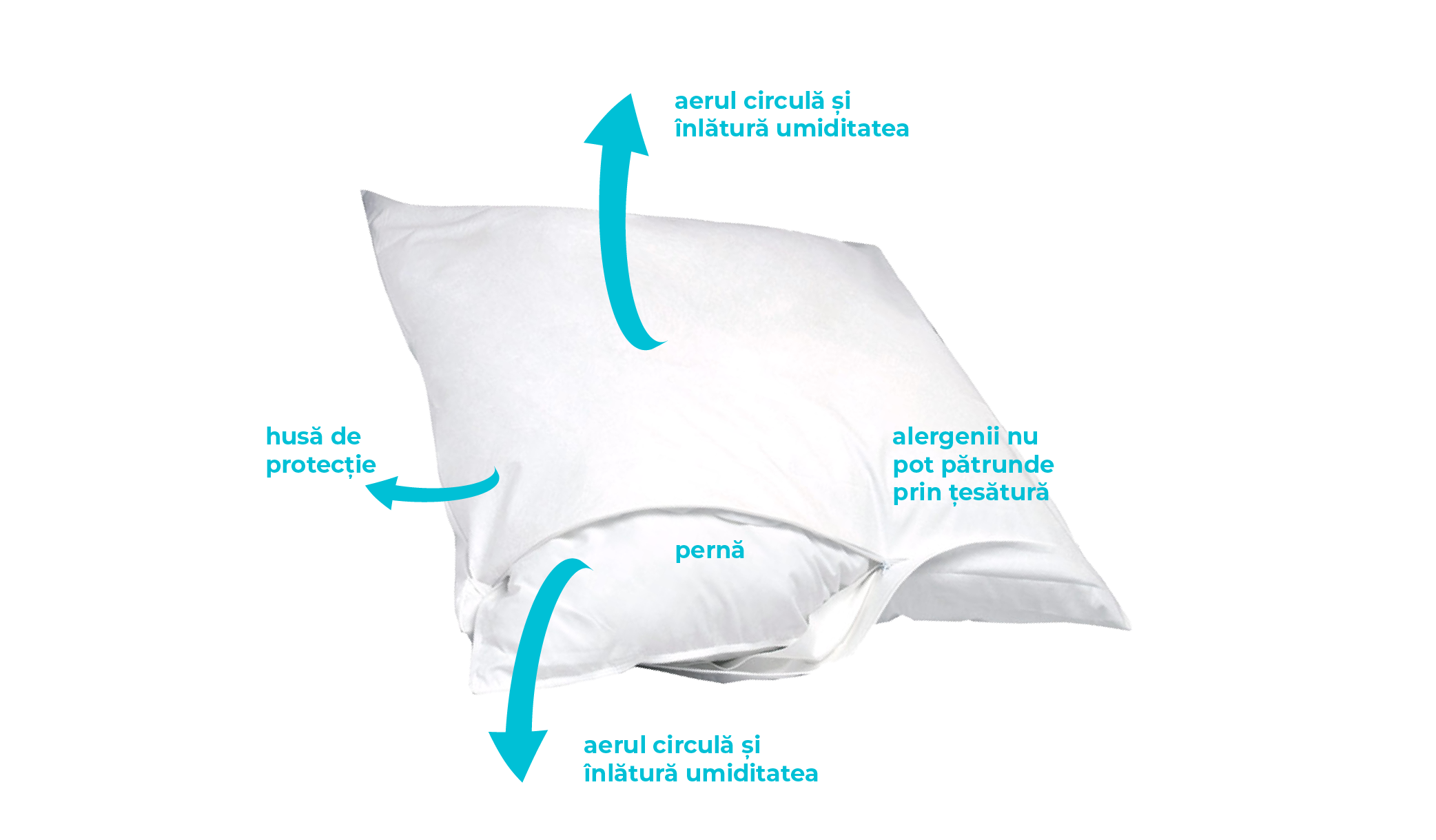 Beneficiile huselor de pat antiacarieni