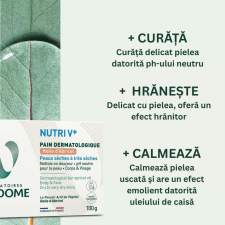 Săpun dermatologic cu ulei de caise Nutri V+, 100 g [1]