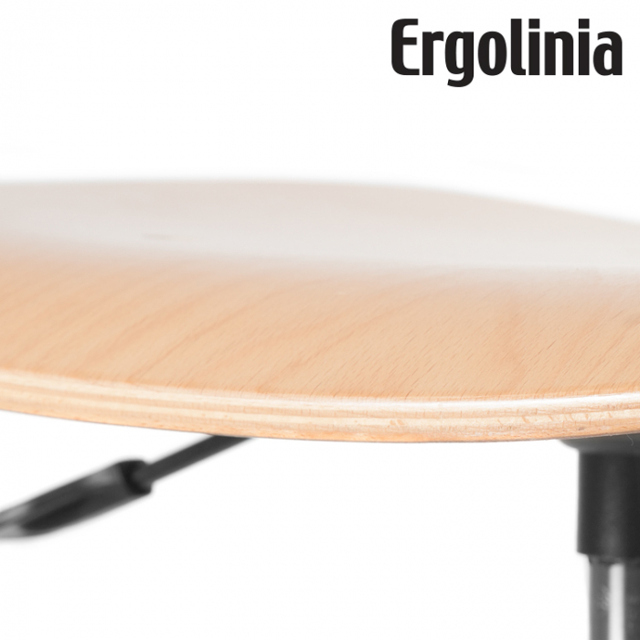 Industrial rotary chair (plywood) ERGOLINIA 10004 [4]