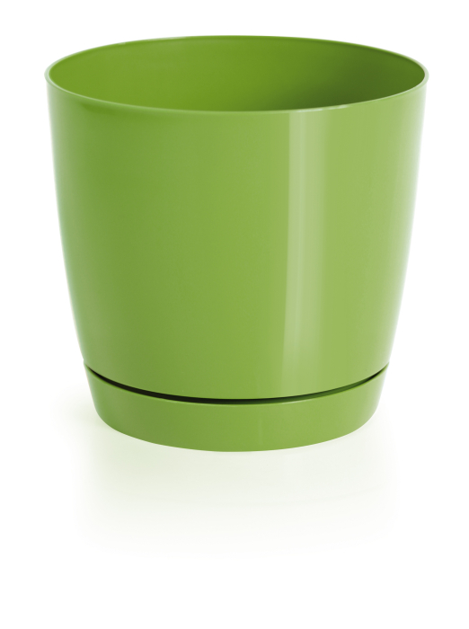 Ghiveci COUBI 180 COFFE MILK [7]