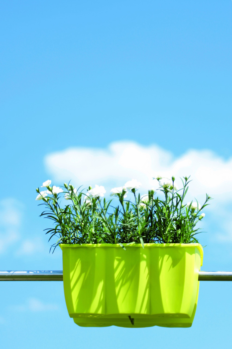 Ghiveci ProsperPlast, Crown, 39.3x27.8x20.1 cm, 12 l, antracit [4]