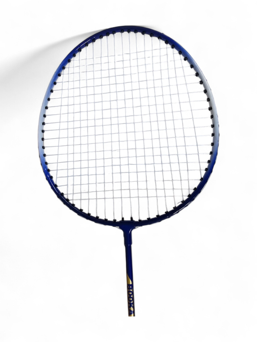 Set 2 Rachete Badminton cu Fluturas si Husa, Albastru [3]