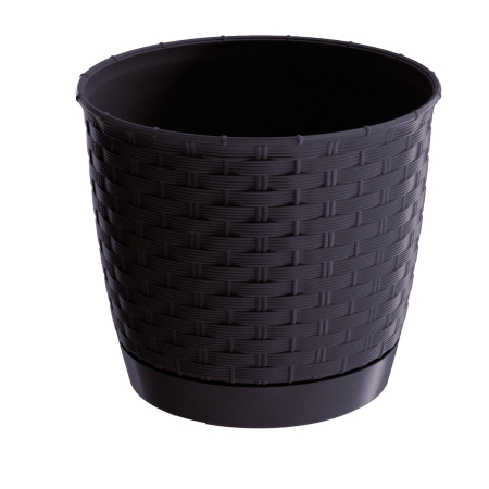 Ghiveci Ratolla 165 MOCA [1]