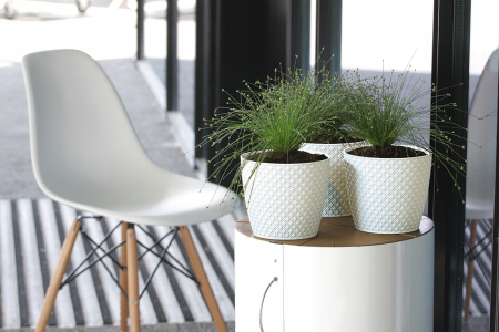 Ghiveci rotund, Prosperplast, Plastic, 19.3x21.8cm, Negru [1]