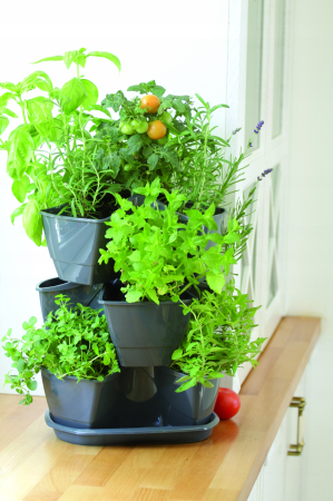 Ghiveci triplu pentru ierburi Coubi Herbal, antracit [2]