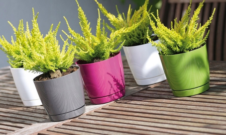 Set 5 Ghiveci rotunde Coubi, Prosperplast, Plastic, 18 x 16.5 cm, Gri grafit [2]