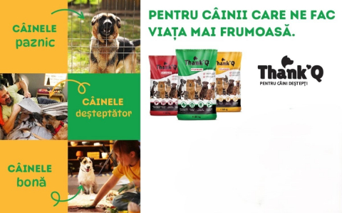 Hrana Uscata Pentru Caini, Thank Q, Aroma de Vita, 10 kg [2]