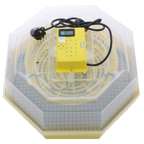 Incubatoare - INCUBATOR ELECTRIC CLEO-5