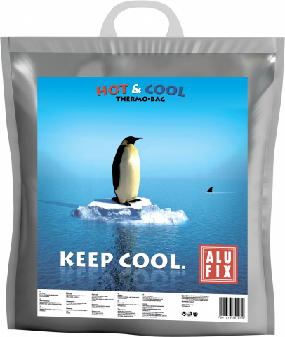 Articole pentru Bucatarie - Sacosa Termoizolanta, Alufix, Hoot & Cool, 47x47cm, 20 L