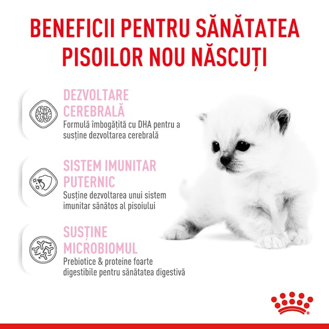 Royal Canin Babycat Milk, hrană pudră pentru pisici, 300g [2]