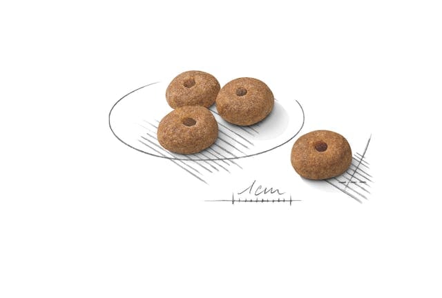 Royal Canin Mini Sterilised, hrană uscată pentru câini, 1kg [2]