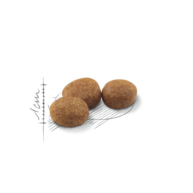 Royal Canin Regular Sterilised, hrană uscată pentru pisici, 2kg [2]