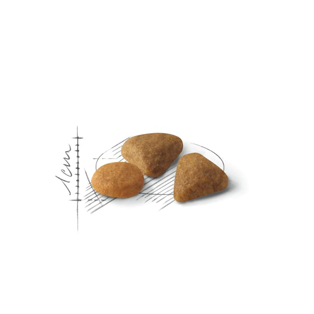 Royal Canin Savour Exigent, hrană uscată pentru pisici, 2kg [2]