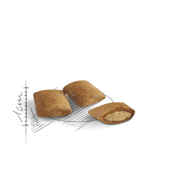 Royal Canin Senior Ageing 12+, hrană uscată pentru pisici, 2kg [2]