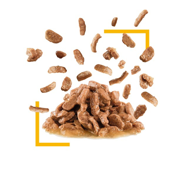 Royal Canin Sensory Taste Cat , hrană umedă, 85g [2]