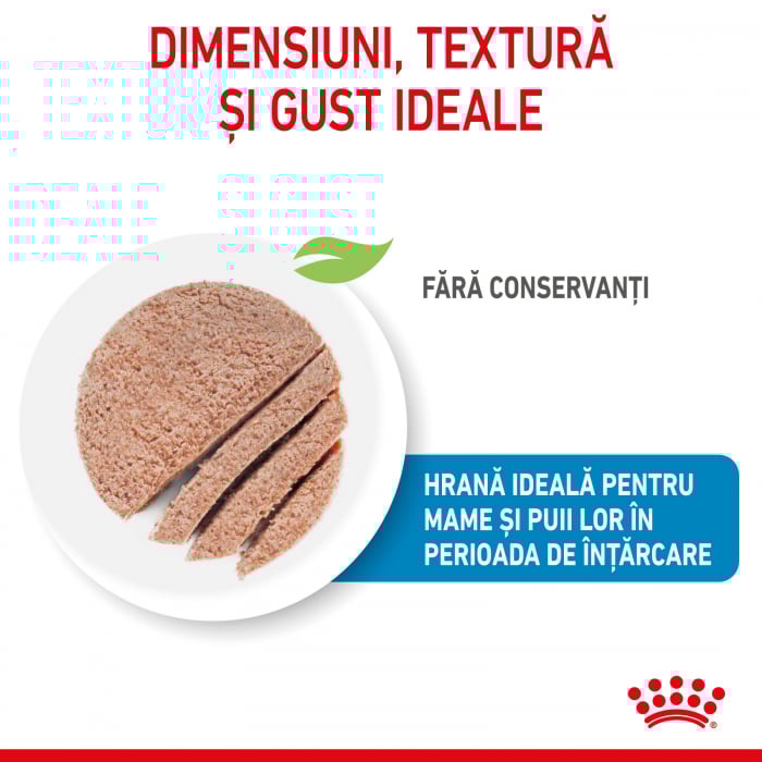 Royal Canin Starter Mother & Babydog, Ultra Soft Mousse, 195g [2]