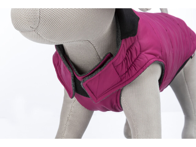 Trixie Hainuta Arlay, XS: 30 cm, Visiniu [2]