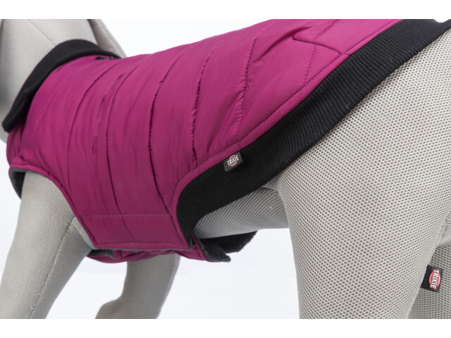 Trixie Hainuta Arlay, XS: 30 cm, Visiniu [4]