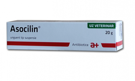 Afectiuni dermatologice - ASOCILIN 20G - UNGUENT DE UZ VETERINAR