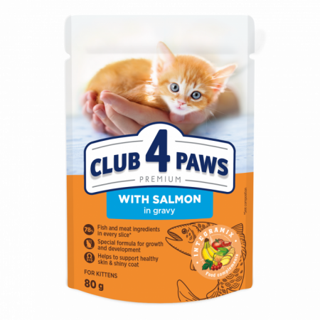 Hrana umeda pisici - CLUB 4 PAWS Plic hrana umeda pisoi juniori, Somon in sos, 80g