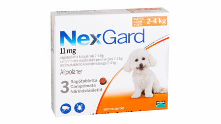 Antiparazitare interne si externe - NexGard comprimate masticabile, 2-4 kg, 3 comprimate