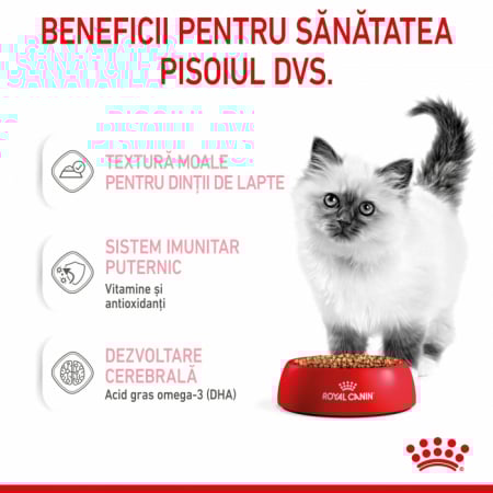 Royal Canin Kitten in Gravy, hrană umedă pentru pisici, 85g [2]
