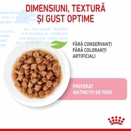 Royal Canin Kitten in Gravy, hrană umedă pentru pisici, 85g [1]