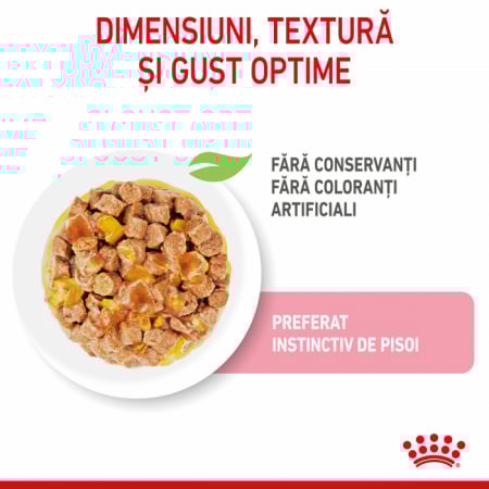 Royal Canin Kitten Jelly, hrană umedă pentru pisici, 85g [1]