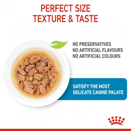 Royal Canin Mini Puppy, hrana umeda pentru caini, plic, 85 gr [1]