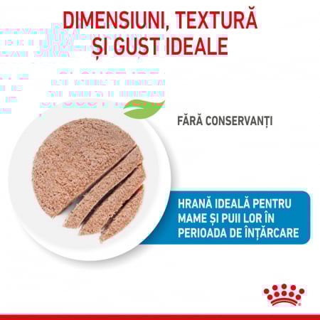 Royal Canin Starter Mother & Babydog, Ultra Soft Mousse, 195g [1]