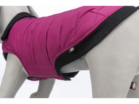 Trixie Hainuta Arlay, XS: 30 cm, Visiniu [3]