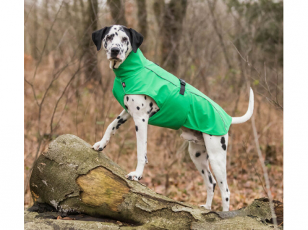 Trixie Pelerina Ploaie Vimy L 62cm Verde [1]