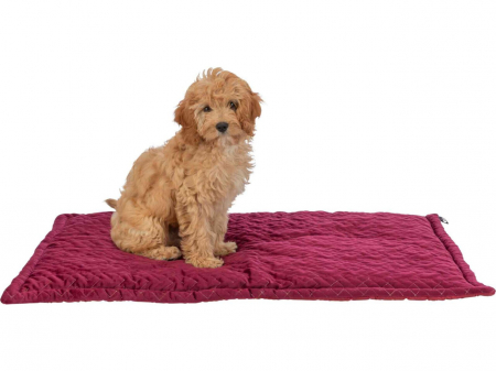 Trixie Saltea Natalya, 90x60 cm, Bordo [3]