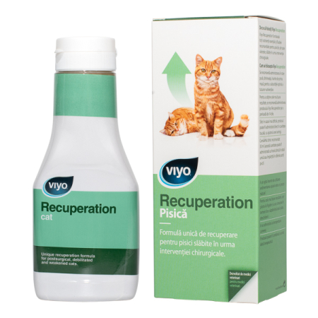 Suplimente vitamino-minerale - Viyo Recuperation Cat x 1 fl