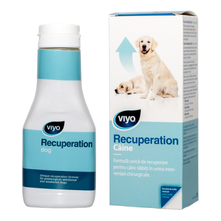 Suplimente vitamino-minerale - Viyo Recuperation Dog x 1 fl