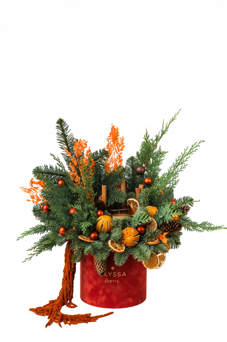 Aranjament "Warm Christmas" [2]