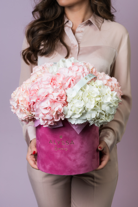 Cutie cu Mix Hortensii [2]