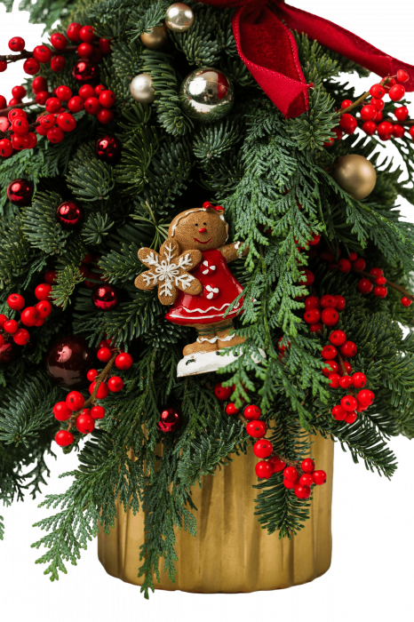 Bradut " Magie in Rosu" [2]