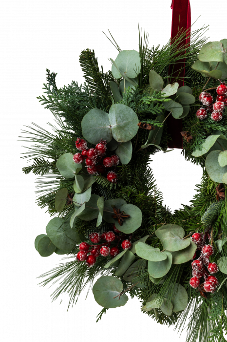 Coronita "Seasonal" [2]