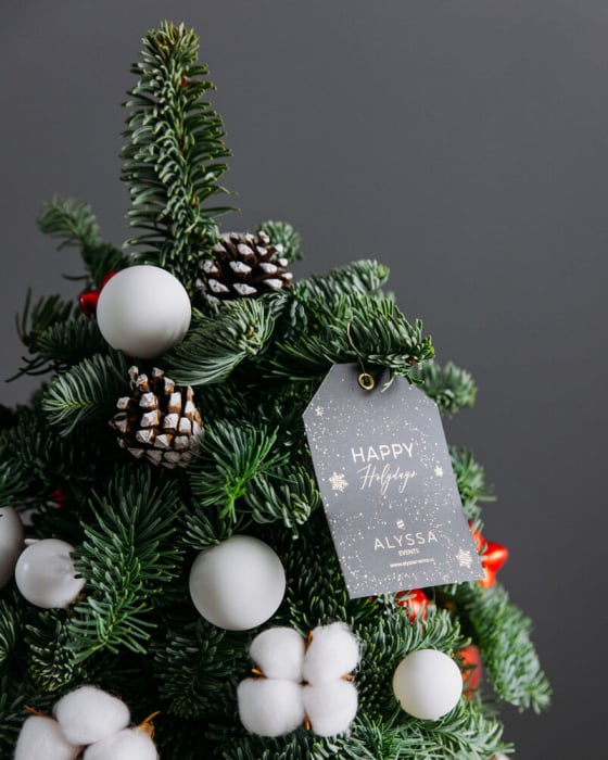 Bradut - Classical Christmas [3]