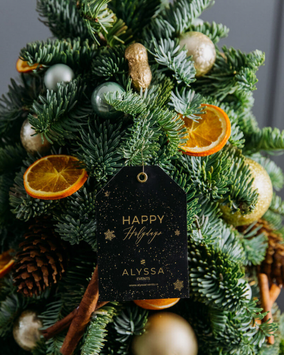 Bradut - Scandinavian Christmas [3]