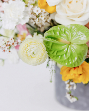 Cutie Mix de Flori "Spring Colors" [2]